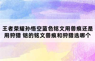 王者荣耀孙悟空蓝色铭文用兽痕还是用狩猎 铠的铭文兽痕和狩猎选哪个